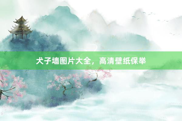犬子墙图片大全，高清壁纸保举