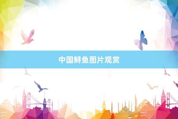 中国鲟鱼图片观赏